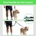TimeTuu Run Adjustable Hands Free Dog Leash Two Elastic Bungees For Shock Absorption With Waist Belt Pouch for medium or large dogs 60 Inches Long - B074LZMV6Y