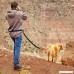 Topperone NEW Running Fairwin Leash - Hands Free Dog Leash－Walking & Hiking & Training(Orange and Brown) - B06XKV11RH