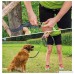 Treat4Pet Premium Hands Free Dog Leash for Running Comfortable Waistbelt & Adjustable Length! Reflective stitching & Control Handle. Retractable Shock Absorbing Bungee for up to 150 lbs Large Dogs. - B01N9QRLAW