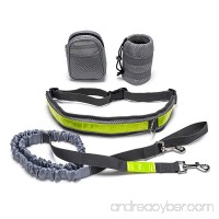 YLSing Hands Free Dog Leash for Running Walking Training Hiking  Retractable Bungee Dog Leash  Reflective Waist Belt with Bottle Holder and Waist Bag - B079KF9XD3