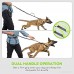 YSNJLQ Hands Free Dog Leash Nylon Running Dog Leash With Adjustable Waist Belt and Control Handle Bungee Reflective Pet Leash for Walking Jogging Hiking - B07DPKP8VD