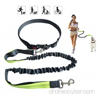 YSNJLQ Hands Free Dog Leash  Nylon Running Dog Leash With Adjustable Waist Belt and Control Handle Bungee Reflective Pet Leash for Walking Jogging Hiking - B07DPKP8VD