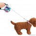 BleuMoo Puppy Pet Dog Cat Automatic Retractable Traction Rope Walking Lead Leash - B01G8GJN8E