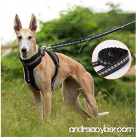 Mbangde Bungee Reflective Pet Leash for Small  Medium  Large and Extra Heavy Dogs Cats - B074KWJLXX