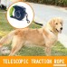 WarmClean 13ft LED Retractable Dog Leash with Light Safe Pet Traction Nylon Rope Hand Grid Lock Button to Brake Training Walking Lead for Small Medium Large Dog with LED Flashlight - B07BXX21VT
