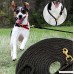 30’ Check Cord Dog Training Leash; 30-Foot Dog Check Cord / Lead for Obedience Hunting Dog & Field Training - B06XXQ36BM