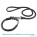 Beirui Leather Dog Leash - Braided Rolled Rounded Dog Rope Lead - Best Choice for Medium & Large Dogs Training & Walking - 3/4 by 2 / 4 Foot - B00LHQUTXE