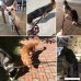 Beirui Leather Dog Leash - Training & Walking Braided Dog Leash - 3.6/4/5/6.5/8.5 Foot - Latigo Leather - B01ABP606G