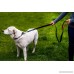 Double Handle Dog Leash 5 ft Long with Padded Traffic Handle for Full Control Heavy Duty Dog Leash D-Ring for Accessories Excellent for Safety Training Walking Running or Hiking by Mismuris - B077JVTN1M