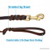 FOCUSPET Leather Dog Leash 6 ft Leather Dog Training Leash Pet Braided Dog Leash for Large Medium Leads Rope Dogs Walking&Training (1/2 Inch Brown) - B01N63G51S