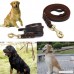 FOCUSPET Leather Dog Leash 6 ft Leather Dog Training Leash Pet Braided Dog Leash for Large Medium Leads Rope Dogs Walking&Training (1/2 Inch Brown) - B01N63G51S