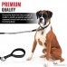Heavy Duty Bungee Dog Leash by Tuff Pupper | Comfortable Neoprene Handle | Zinc Alloy Hardware | Perfect Training Lead for Medium to Large Dogs - B074S2HQYQ