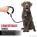 Heavy Duty Bungee Dog Leash by Tuff Pupper | Comfortable Neoprene Handle | Zinc Alloy Hardware | Perfect Training Lead for Medium to Large Dogs - B074S2HQYQ