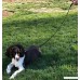 Leather Dog Leash - 4 feet - Medium Length | Black | Genuine | Soft | Durable | Comfortable | Lightweight | Stylish | Heavy Duty | Water Resistant | Walking and Training | Small Medium Large Dogs - B07BJ1L9MX
