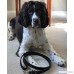 Leather Dog Leash - 4 feet - Medium Length | Black | Genuine | Soft | Durable | Comfortable | Lightweight | Stylish | Heavy Duty | Water Resistant | Walking and Training | Small Medium Large Dogs - B07BJ1L9MX