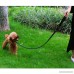 Nuheby Leather Dog Leash 4 Feet Long 4/5 inch Wide Puppy Training Leash Walking Lead Perfect for Small Medium Dogs - B07CMQ16XR