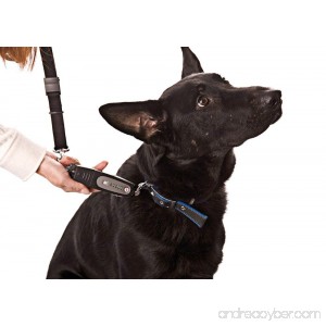 PatentoPet DOG-e-Walk Premium Dog Trainer Black - B003N325WW