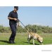 SHINE HAI Retractable Dog Leash 16ft Dog Walking Leash for Large Medium Small Dog Up to 110lbs Break & Lock System Reflective Ribbon Cord Black - B01NCMP3OX