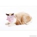 Cat Muzzles - Breathable Mesh Muzzles Prevent Cats from Biting and Chewing - Anti Bite Anti Meow - B073JXSBD4