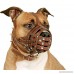 CollarDirect PitBull Dog Muzzle Leather AmStaff Muzzles Staffordshire Terrier Secure Basket - B01MY0ITZB