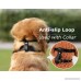 Dog Muzzle Leather Comfort Secure Anti-barking Muzzles for Dog Breathable and Adjustable Allows Dringking and Eating Used with Collars - B071X9WFZZ