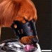 Kwan Adjustable Dog Muzzle Leather for Small Medium Large Dogs - B074WMCVBH