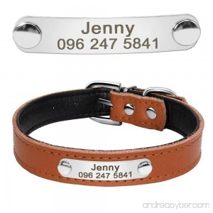 Didog Cute Leather Padded Custom Dog Collar with Engraved Nameplate ID Tag Fit Cats and Small Medium Dogs - B07DPDHGVV id=ASIN