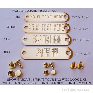 Warner Brand Brass (gold) Tag (1) for Dog Collar with 3-Sets of rivets Pet ID Plate ID tag - B008RBHH4G id=ASIN