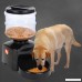 Automatic Pet Feeder YKS Pet Dry Food Container Timer Programmable with Voice Message Recording and LCD Screen Large Smart Dogs Cats Food Bowl Dispenser for Dogs Cats - B071CVSGHG