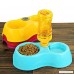 Fieans Dual Port Dog Cat Drinking Fountain Food Dish Automatic Water Dispenser Feeder - B014LG6X6S