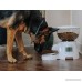 Paws & Pals Automatic Electronic Timer Programmable Dog Feeder for Large to Small Dogs - White - B079K2LTYZ