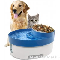 Paws & Pals Pet Fountain Water & Food Bowl Feeder for Dog Cats with Water Filter - B00XNU2QG0