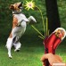 Sunshine-G Dog Catapult Toy Interactive Pet Treat Launcher Pets Food Thrower Training Dog Food Catapult Auto - B075SRPN9Q
