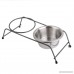 Blesiya Silver Double Raised Pet Dog Bowl Elevated Feeder Cat Food Water Dish Holder - B07D347Q9J