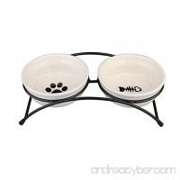 Double Ceramic Cat Bowl Set Food Feeder with Stand Raised for Cat Dog - B078R15533