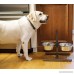Iconic Pet 20-Cup Adjustable Stainless Steel Pet Double Diner - B00RLH9FMY