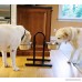 Iconic Pet Adjustable Stainless Steel U Design Pet Double Diner for Dog - B00RLKPHZK