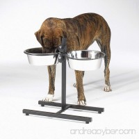 Raised Dog Bowls For Large Dogs Elevated Tall Breeds Great Dane 2 Quart Dishes - B01N5FIP17