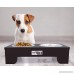 Raised Dog Bowls Stainless Steel | Elevated Dishes for Elderly and Healthy Pets | Durable Stand for a Better Feeding Posture by Pet Lot Plus - B01N49058B