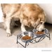 Stainless Steel Raised Pet Bowl wtih Double Dog Cat Food and Water Feeder Dish Retro Iron Elevated Stand - B074DZV68L