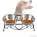 Ylovein Stainless Steel Raised Pet Feeder Food and Water Bowl for Dog Cat with Retro Iron Stand (Medium (13.4x6.3x5.7inch) - B07BJ8S3QF