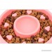 Addprime Fun Slow Feeder Dog/Cat Bowl with Water Bowl 7 inch Prevent Bloat or Stroke Design for Dogs Cats - B077GMRYW3