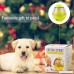 Dog Feeder Toy Food Dispenser Tumbler Interactive Funny Treat Ball IQ Training Toys for Dogs and Cats - B07D2959L6
