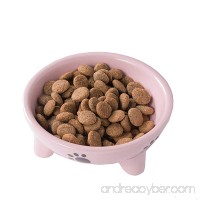 Dog Plates for Food and Water Ceramic Slow Feed Puppy Bowl Cat Food Dish Water Small Feeder Pink Blue Cute Modern Funny Best Prime & eBook - B075JHYXRH