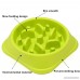 Duoles Fun Interactive Feeder Slow Feed And Drink Water Bowl Healthy Eating Diet Bloat Stop Happy Foraging Bowl For Dog Pet Halloween Gift - B074W6HYB4