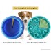 Fun Feeder Slow Feed Dog Bowl-Stop Bloat with Anti-skid Design for Dog Cat - B0739MF5KN