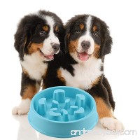 GOGOKING Dog Bowl Fun Anti-Choke Bowl Pet bowl Healthy Food Bowl Slow Feeder Dog Bowl Christmas Gifts - B01M8NASA3