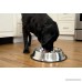 Iconic Pet Slow Feed Center Filled Stainless Steel Pet Bowl - B00RLJ2MRC