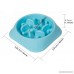 Kuoser Professional Durable Dog Slow Feeder Slow Eating Pet Bowl Non-Toxic Preventing Choking Healthy Design Non-skid Slow Feed Bowl For Small Cat Dog Pet - B07B6M135F