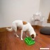 Kyjen Outward Hound 2874 Slo-Bowl Slow Feeder Slow Feed Interactive Bloat Stop Dog Bowl Large Green - B00FPKNSKE